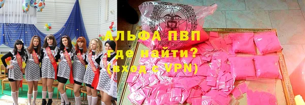 индика Армянск