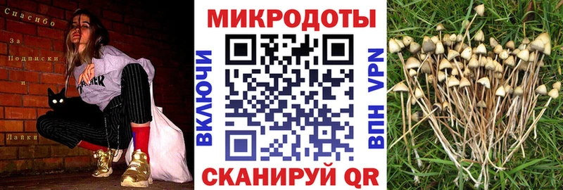 Псилоцибиновые грибы прущие грибы  купить   omg tor  Кропоткин 